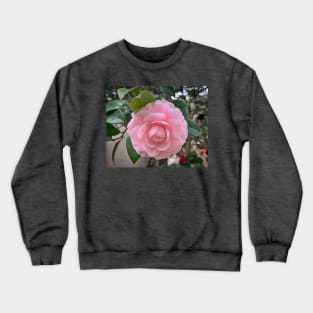 Camellia Soft Pink Bloom Crewneck Sweatshirt